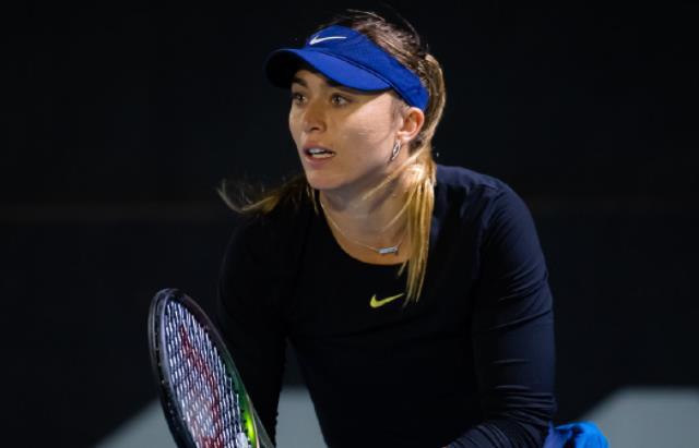 人将把网球 人将把网球