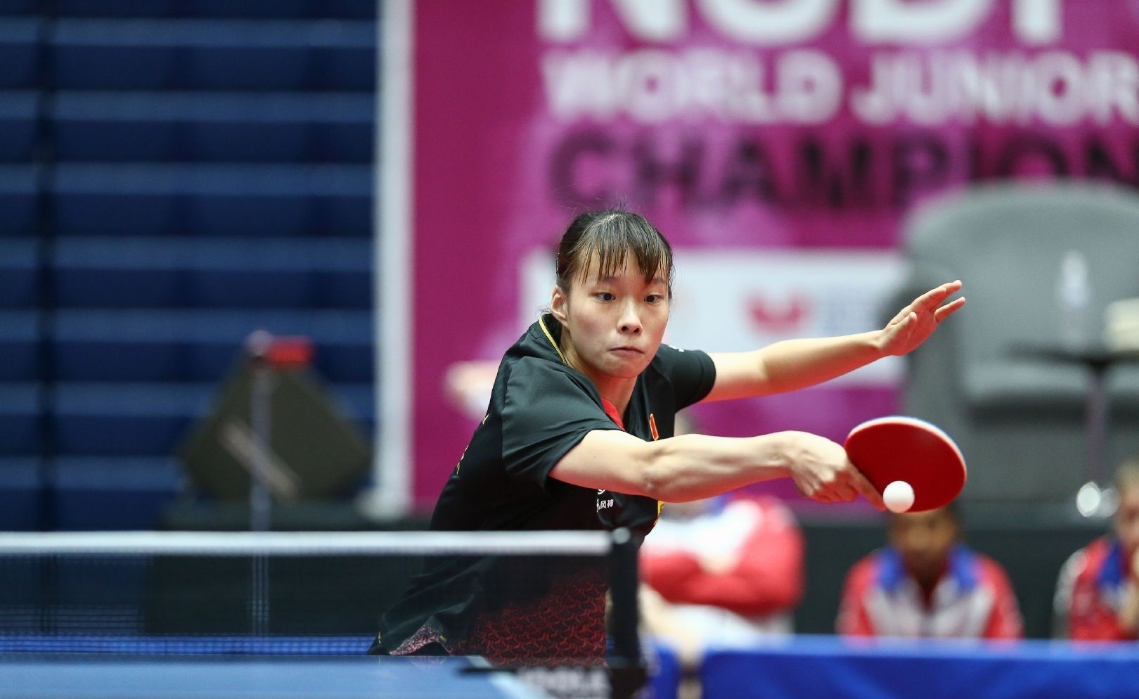 国漫爱好者 国漫爱好者